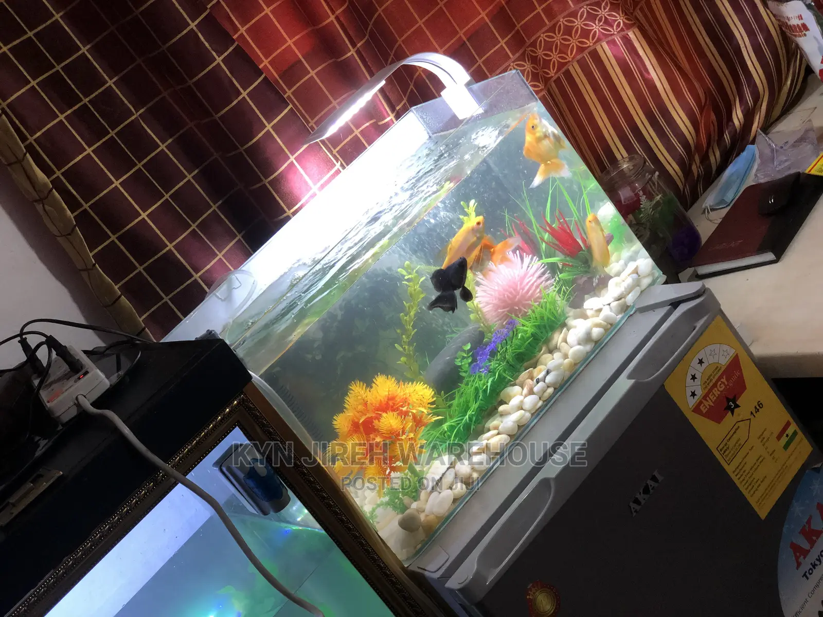 Merlin Tabletop Aquarium With 5 Fishes