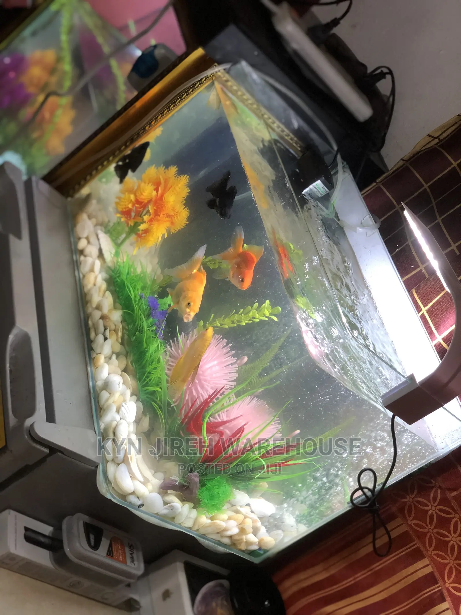 Merlin Tabletop Aquarium With 5 Fishes