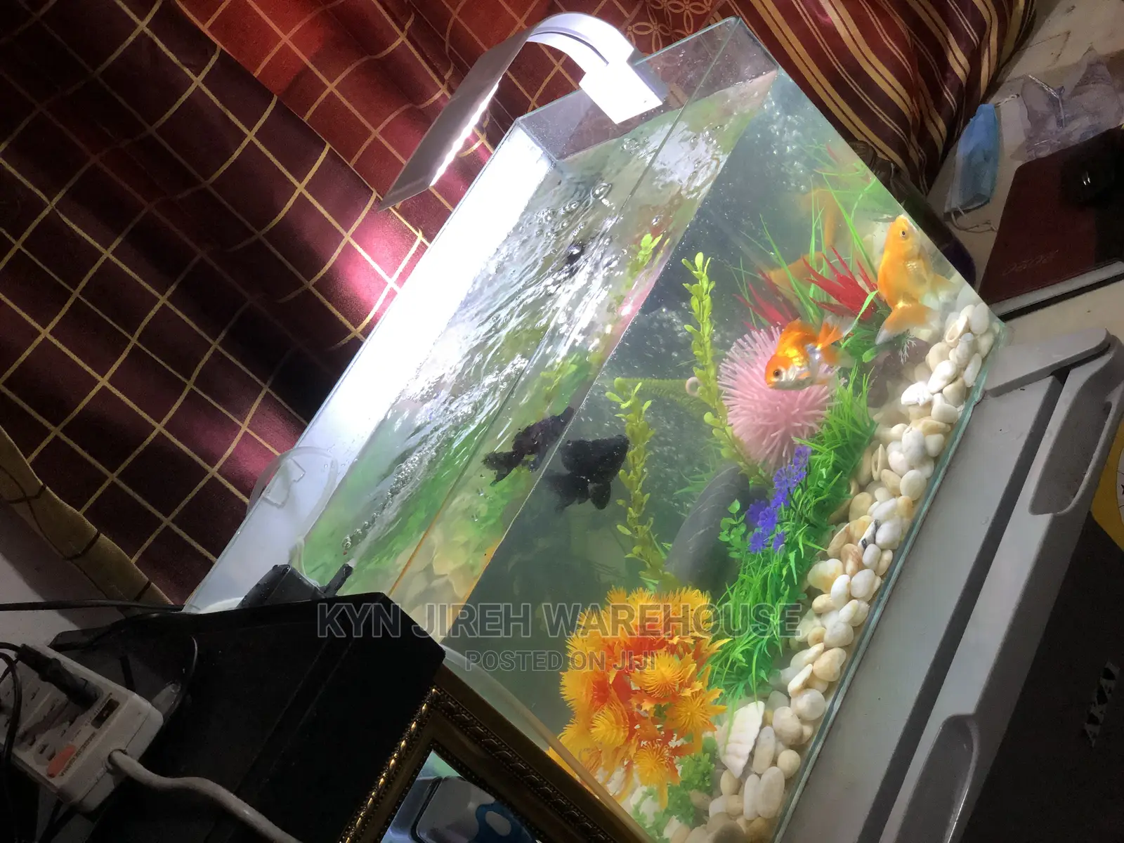 Merlin Tabletop Aquarium With 5 Fishes