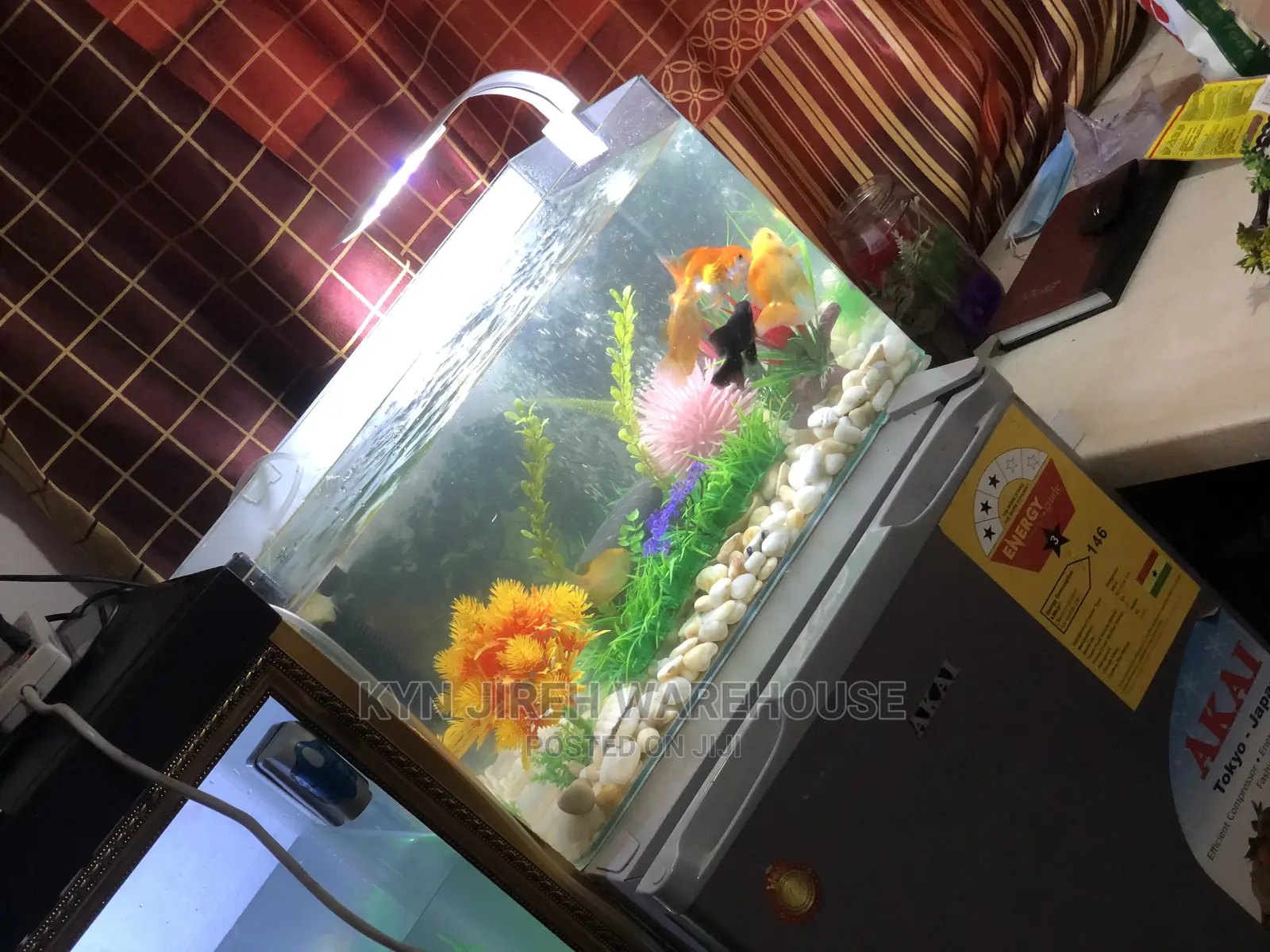 Merlin Tabletop Aquarium With 5 Fishes