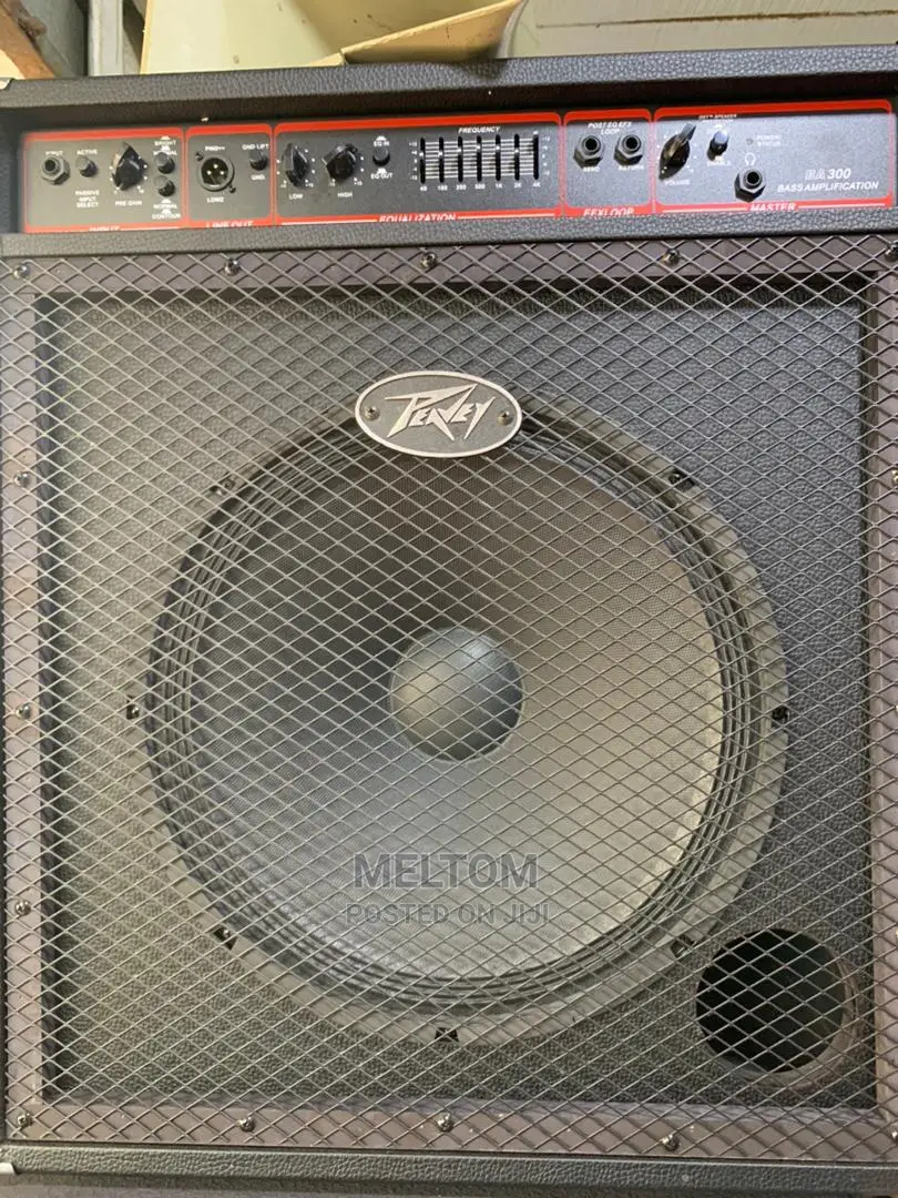 PEAVEY Bass GUITAR Combo BA 300