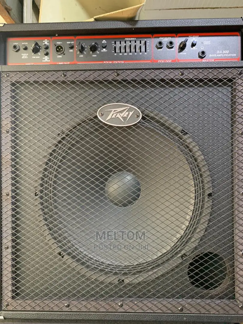 PEAVEY Bass GUITAR Combo BA 300