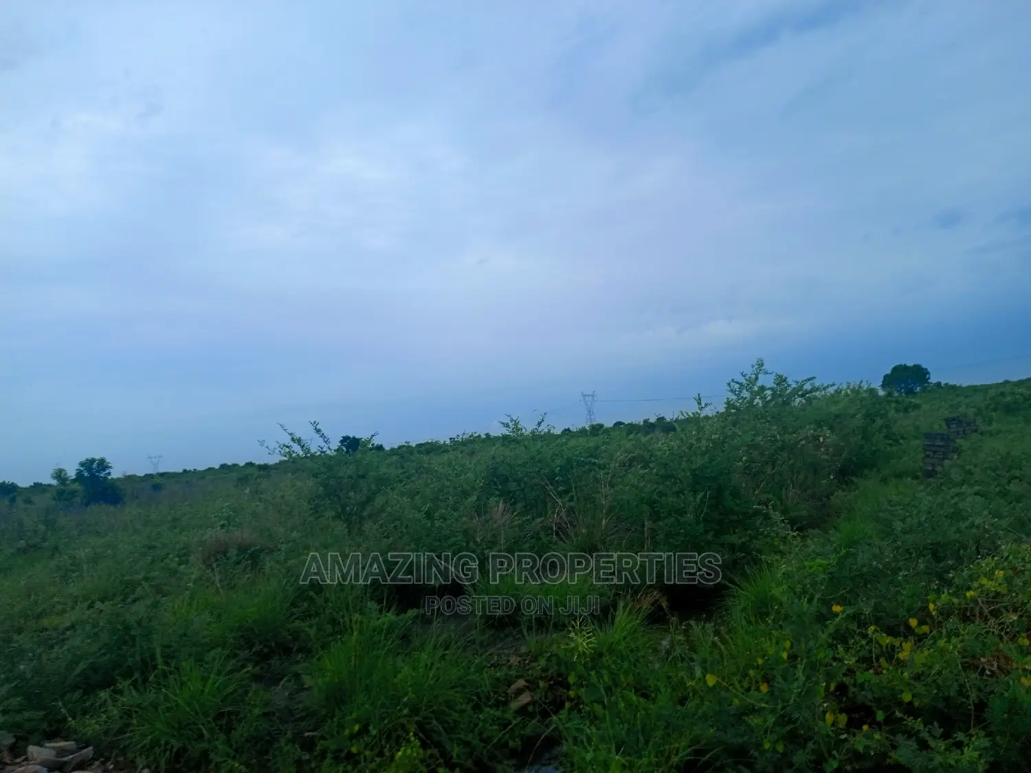 6,000 Acres of Farmland for Sale at Asamankese Quarshie