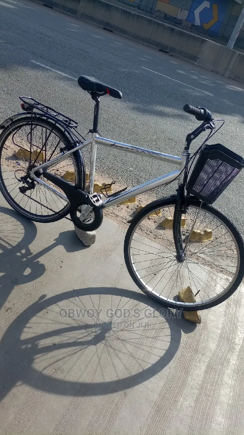 Perfect Mountain Carrier Bike