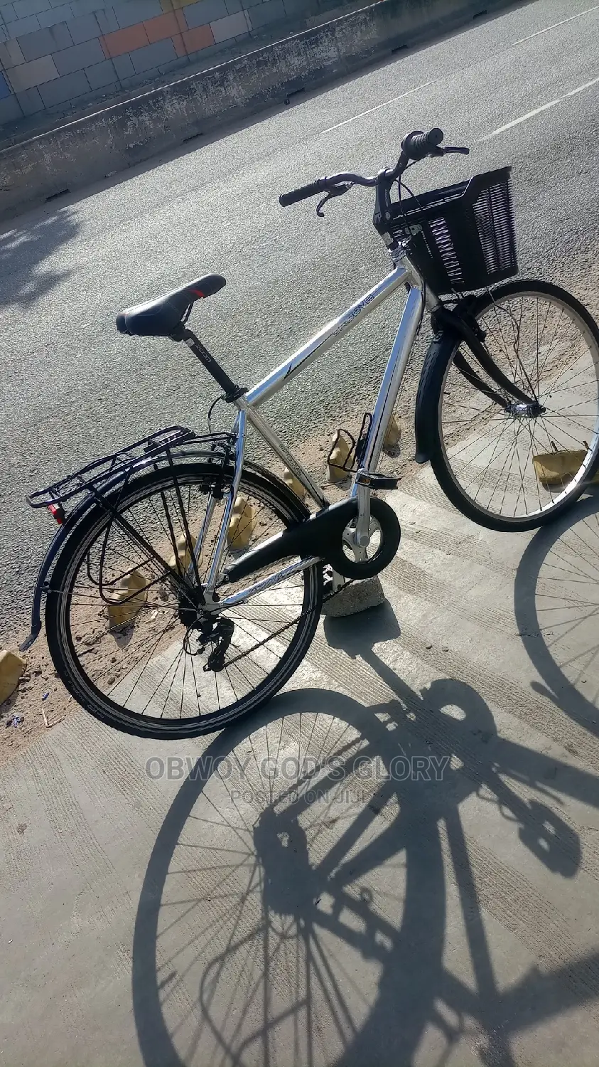 Perfect Mountain Carrier Bike