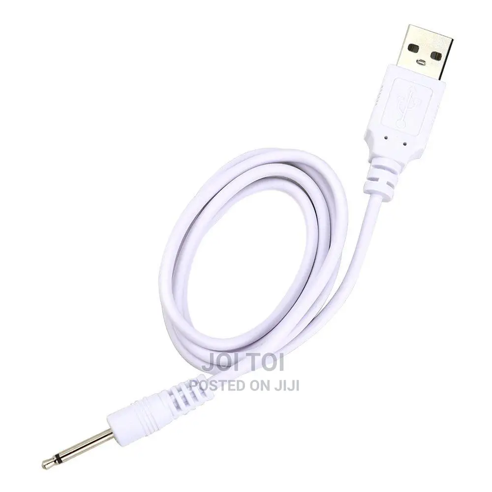 Vibrator Charger