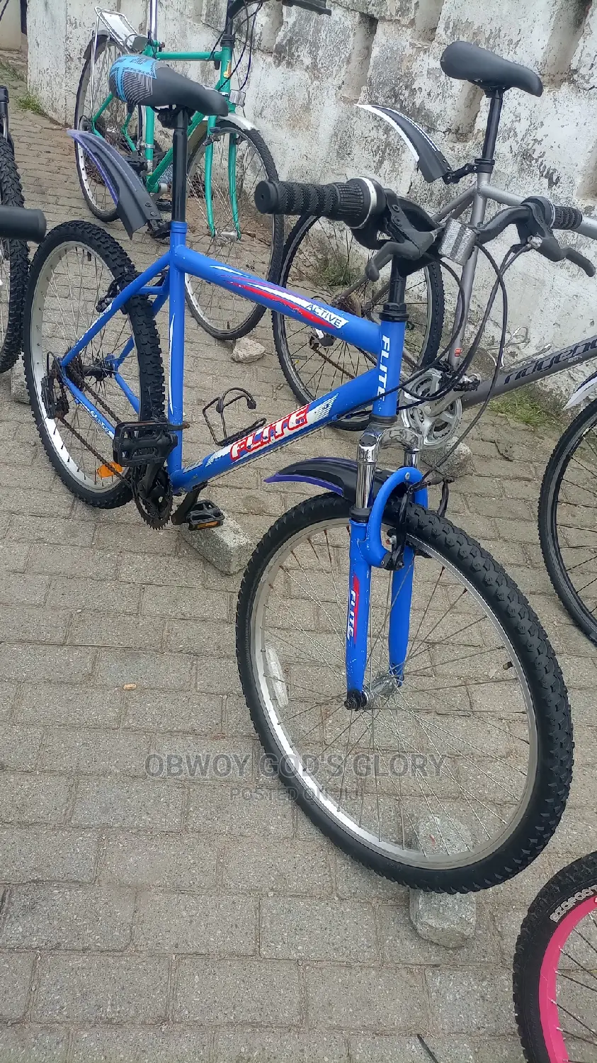 Blue Bike Mountain