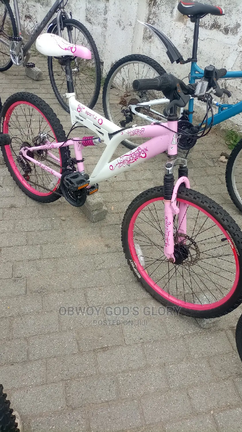 Disc 24 Spring Bike