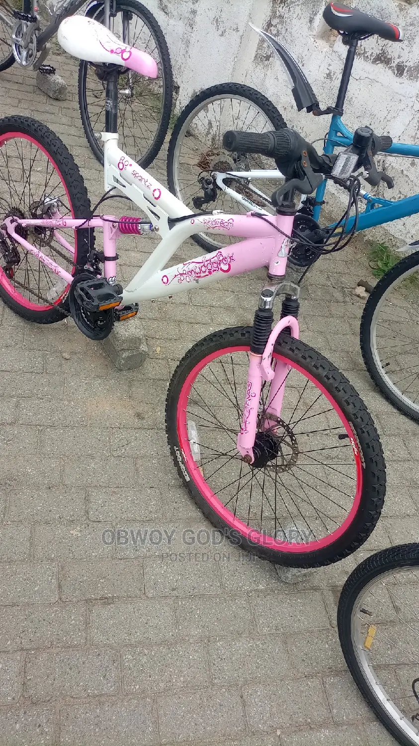Disc 24 Spring Bike