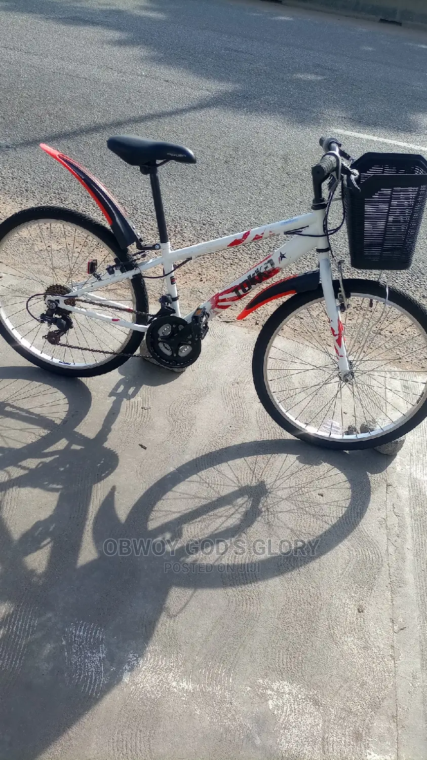White Ladies Basket Bike