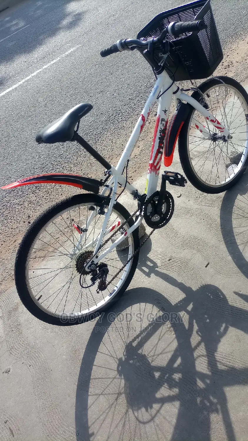 White Ladies Basket Bike