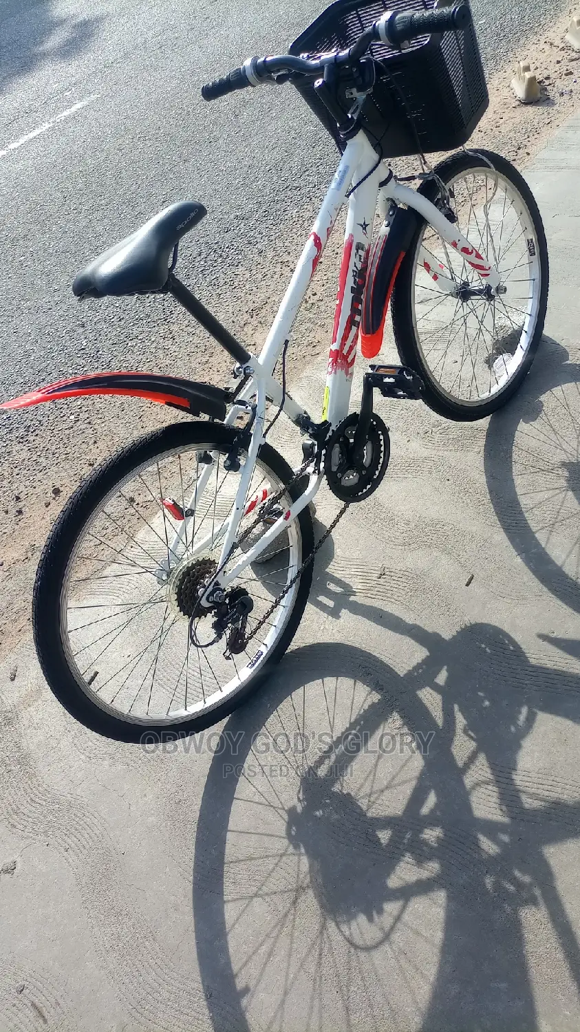 White Ladies Basket Bike