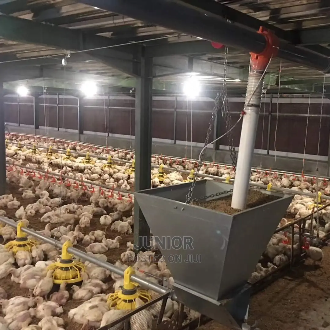 Cal 4 Price Buidfully/Semi Automatic Poultry Free Range Syst