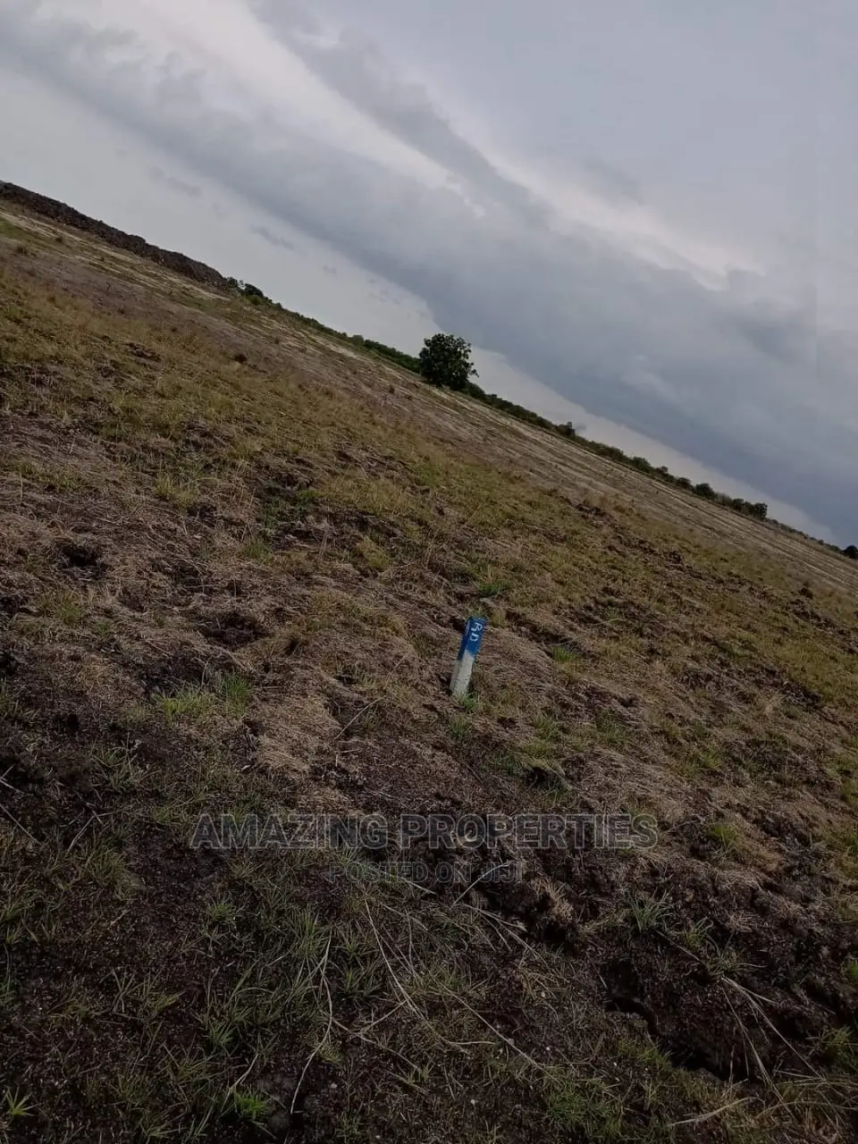 5000 Acres of Land for Sale at Dawa