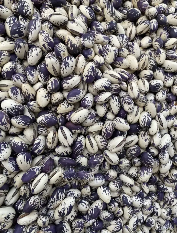 Whitish Purple African Sword Beans (Canavalia Gladiata)