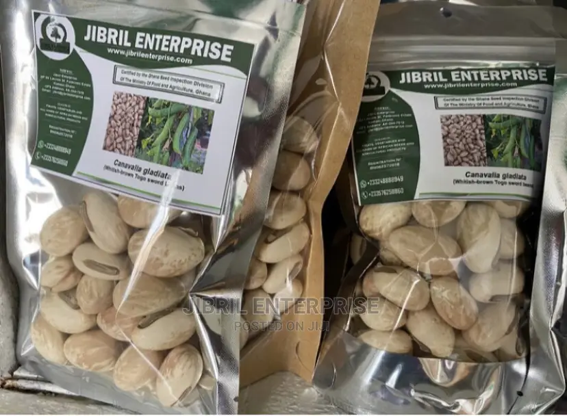 Whitish Sword Beans (Canavalia Gladiata)