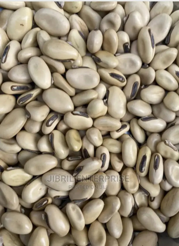 White Sword Beans (Canavalia Gladiata)