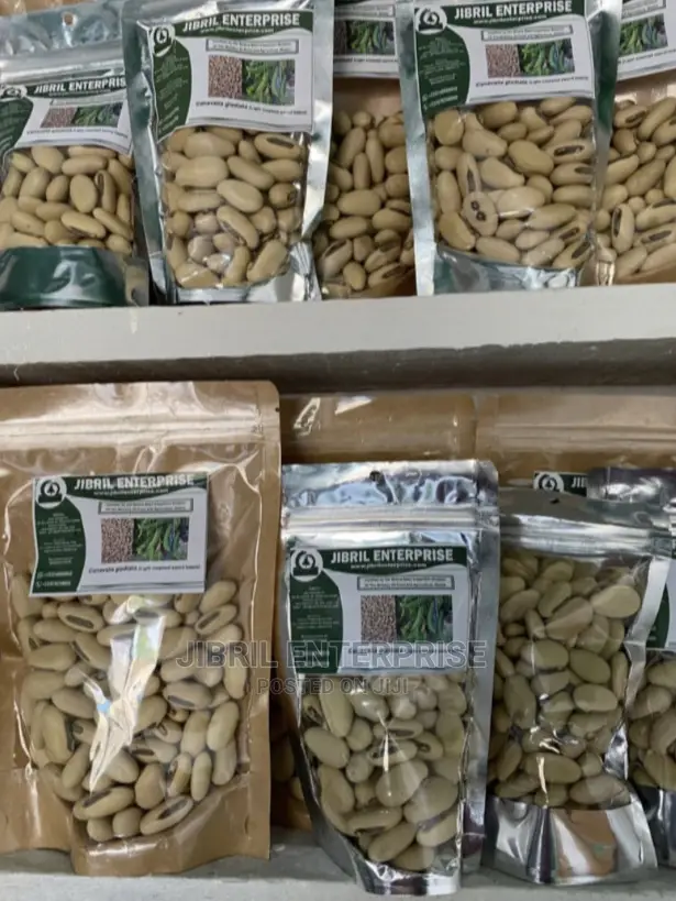 White Sword Beans (Canavalia Gladiata)