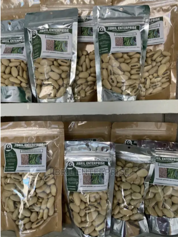 White Sword Beans (Canavalia Gladiata)