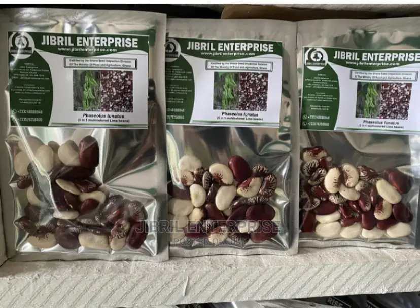 Lima Beans (Phaseolus Lunatus