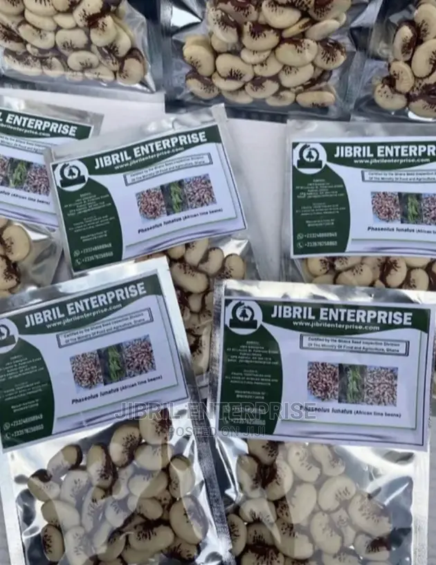 African Lima Beans (Phaseolus Lunatus)