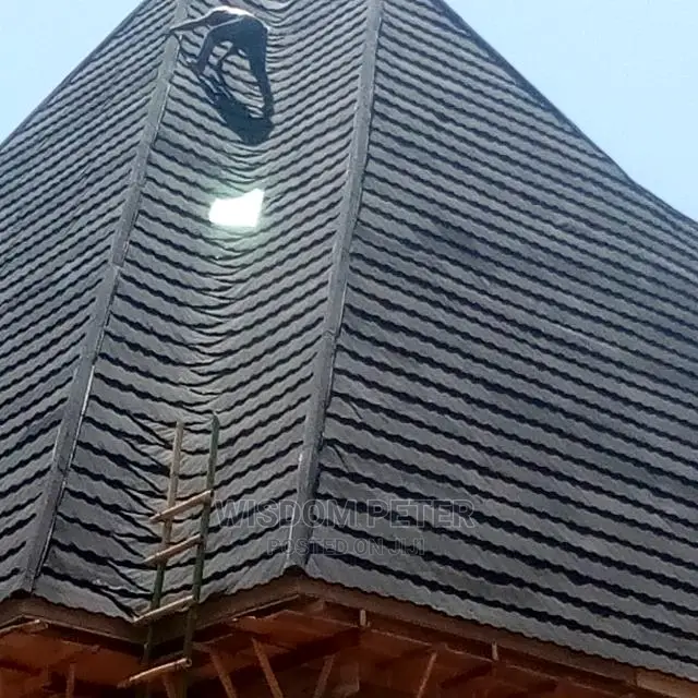 Euro Tiles Roofing Brak and Waite Patch