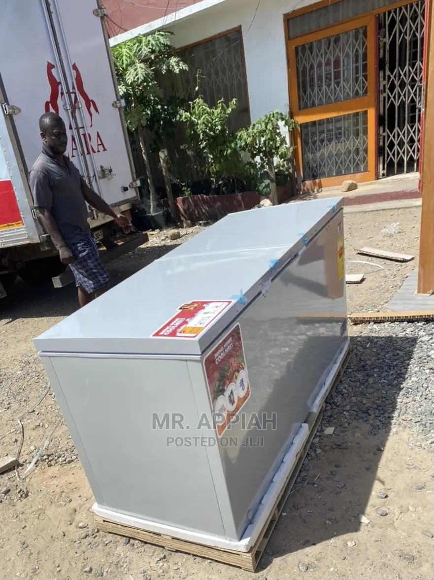 High Efficient Zara Double Door Chest Freezer(577L) 