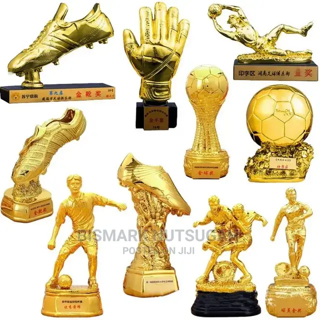 Awards Best Goal Keeper for Sale