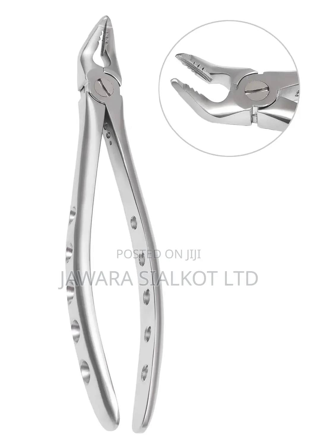 Dental Extraction Forcep Stainless Steel