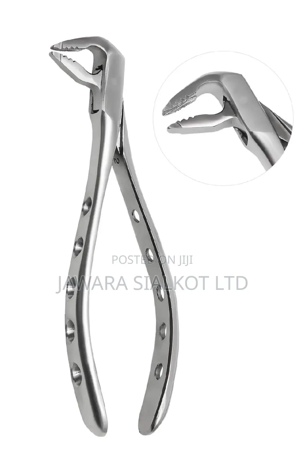 Dental Extraction Forcep Stainless Steel