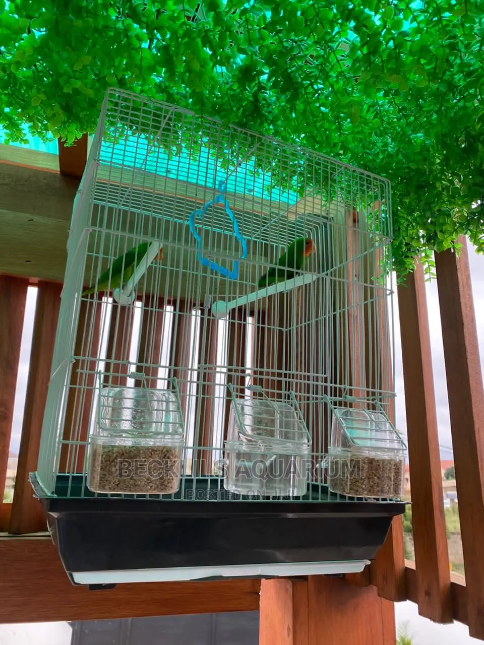 Large Parrot Cages for Parrot
