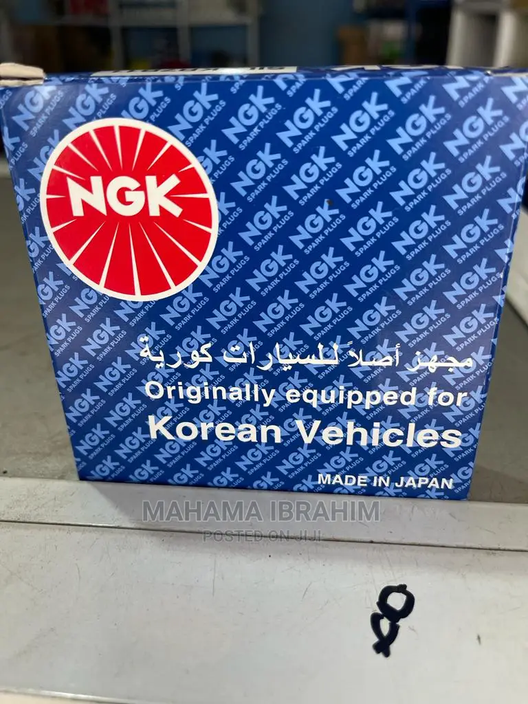 NGK Korean Spark Plug