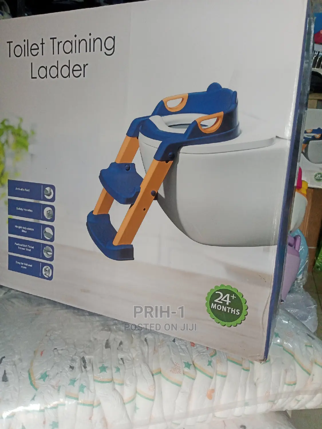 Toilet Training Ladder