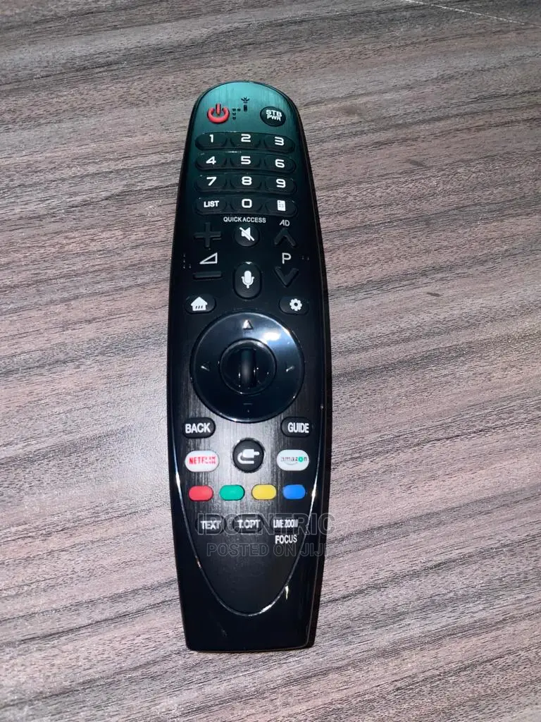 LG Magic Remote Control