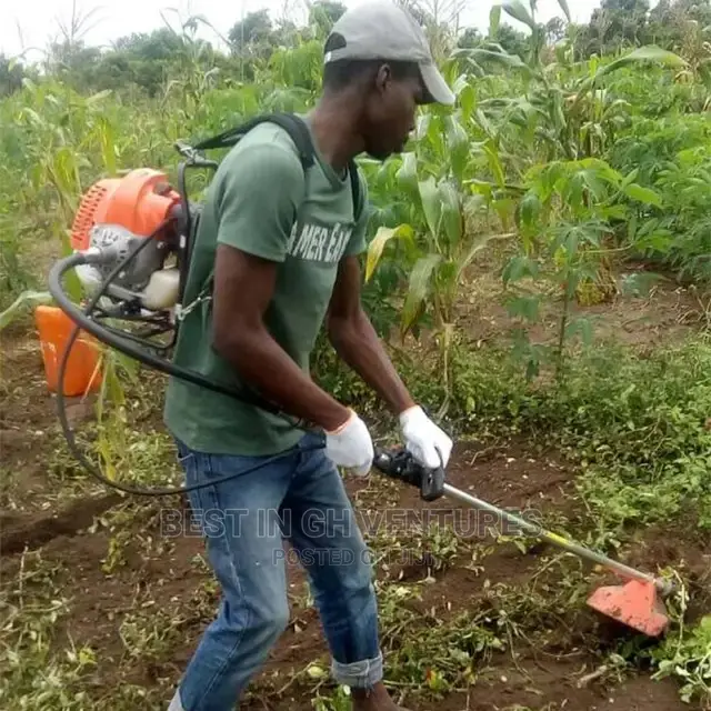 Agricultural Weeding Machine(Backpack)