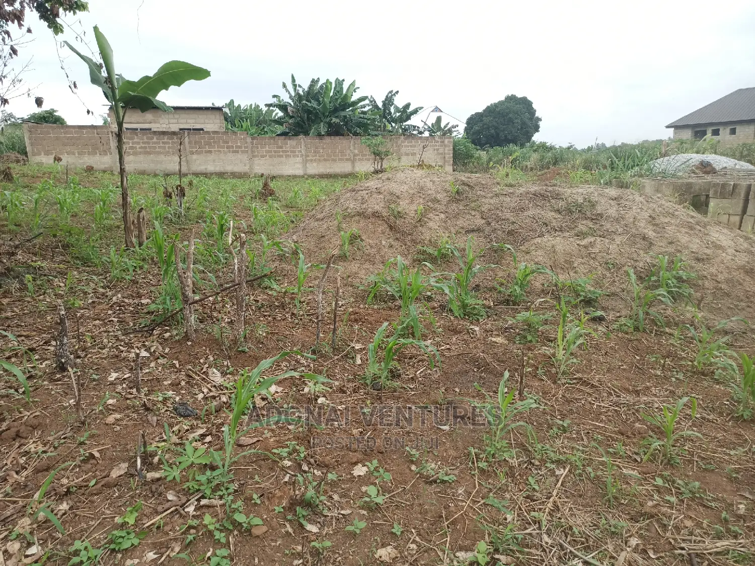Plot for Sale in Konkorl