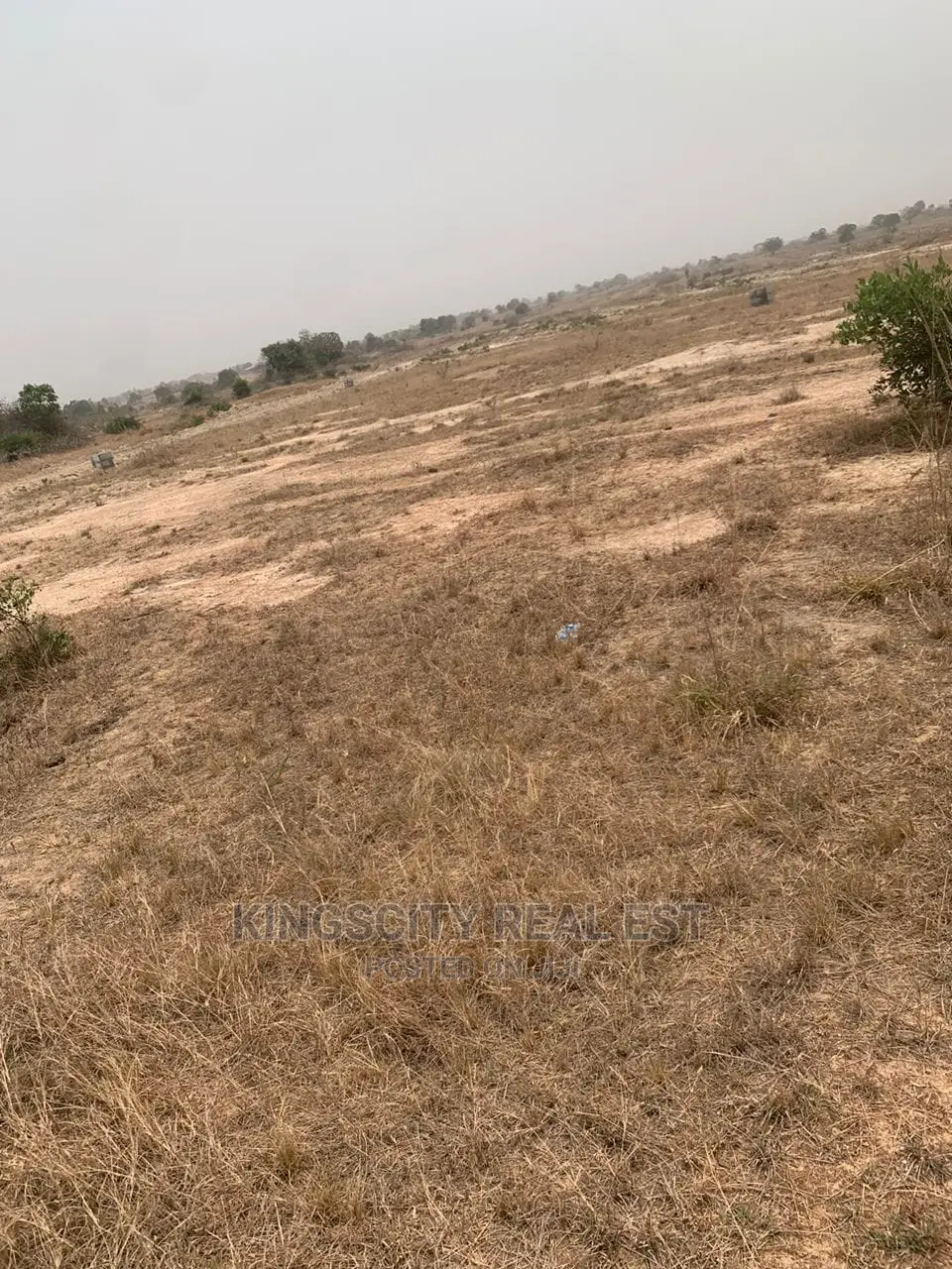 Land With No Litigation Available