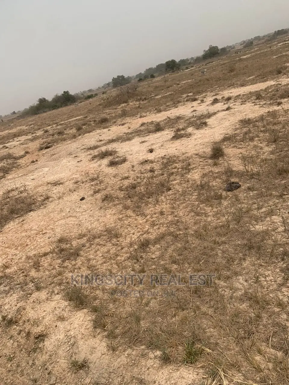 Land With No Litigation Available