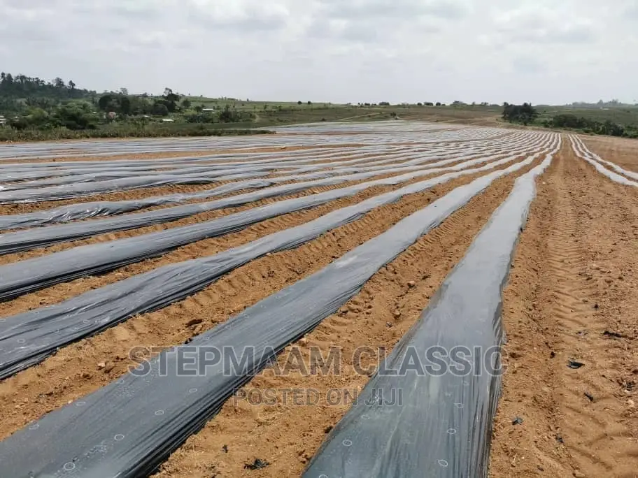 Plastic Mulch