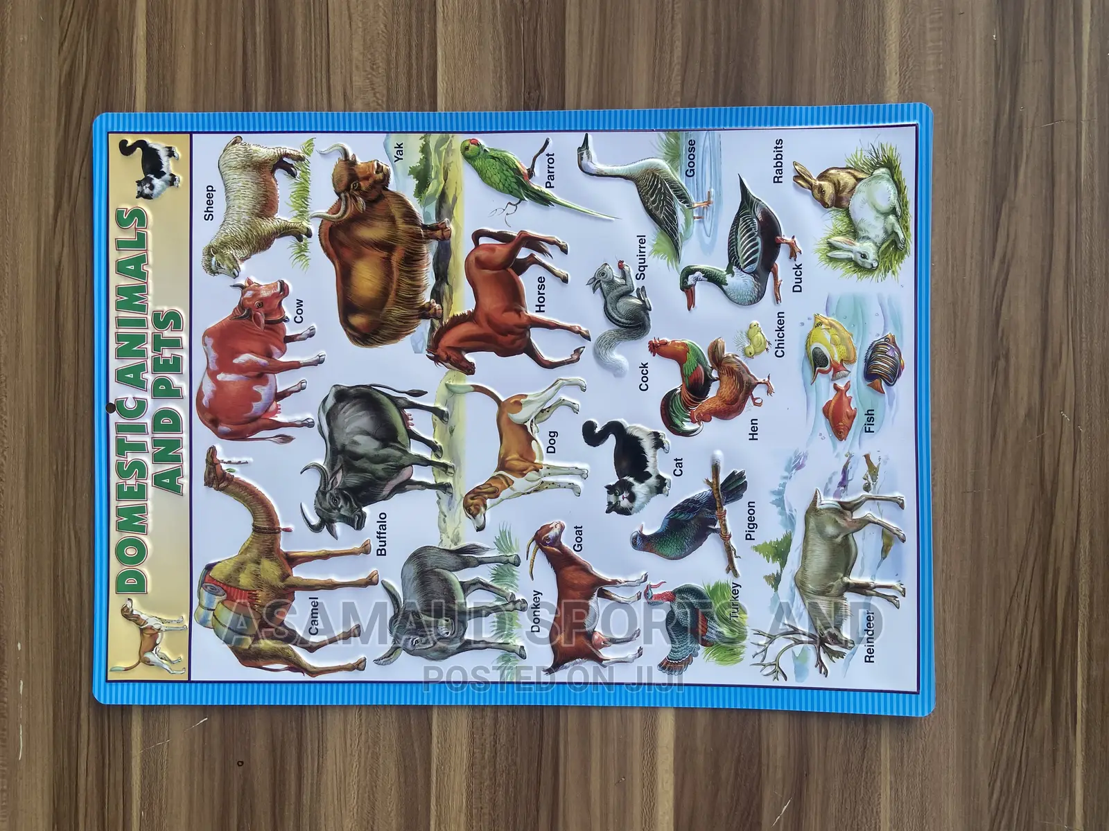 Original Kids Learning Material Knowing Animals Available