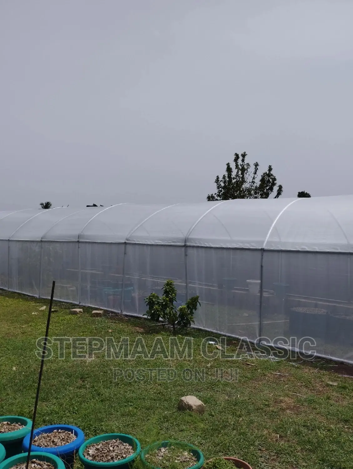 Greenhouse Construction