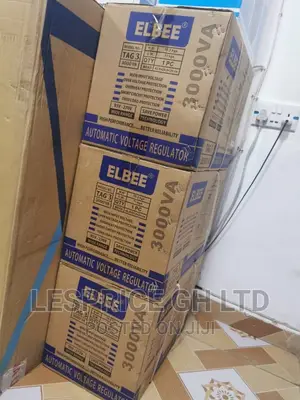High Power Elbee 3000w Auto Regulator