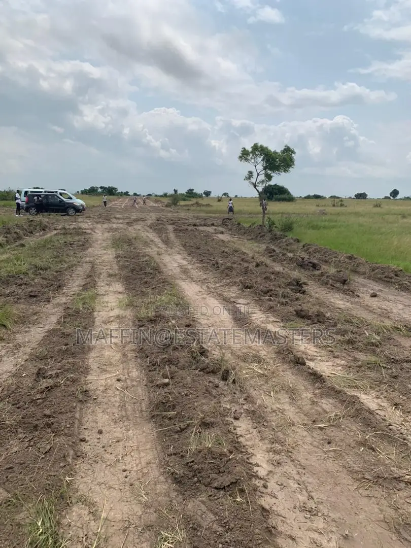 Look Here for All Your Genuine and Affordable Plots