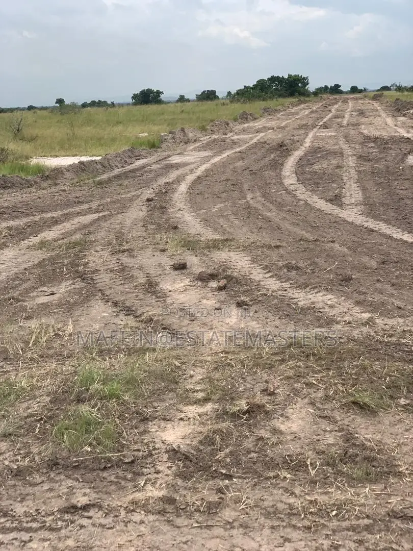 Beautiful Demarcated Plots for Sale With Free Documents