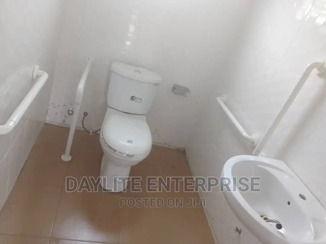 Disabled Grab Bar Rail Set