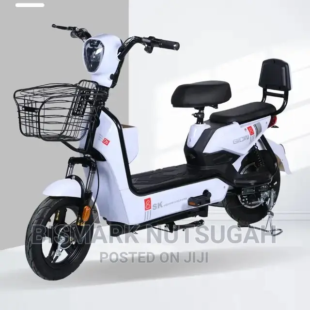 Electric Bike For Sale