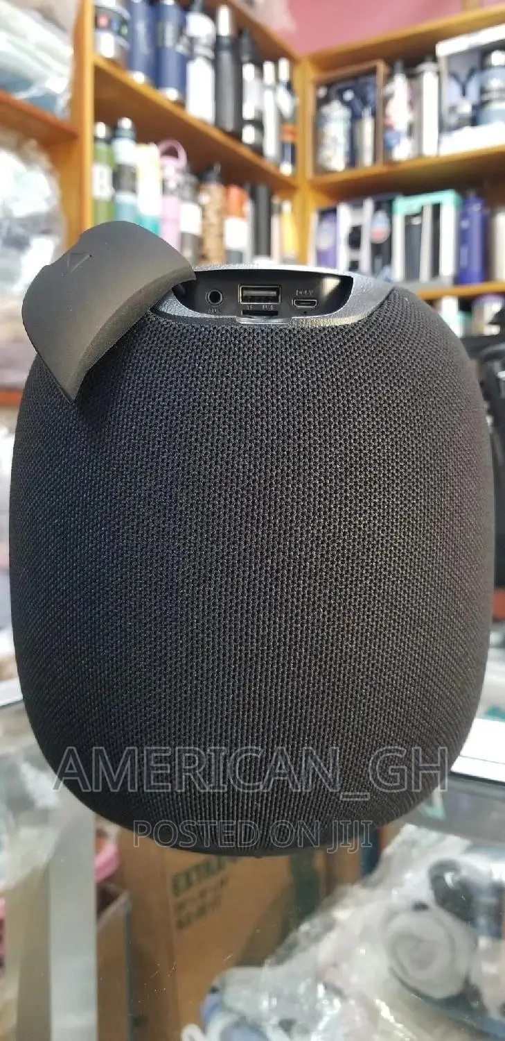Portable Bass Loudspeaker With (Fm)