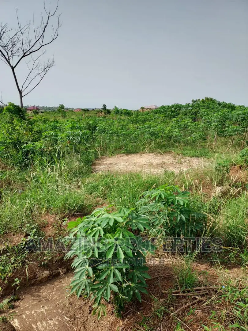 50 Acres of Land for Sale at Juapong