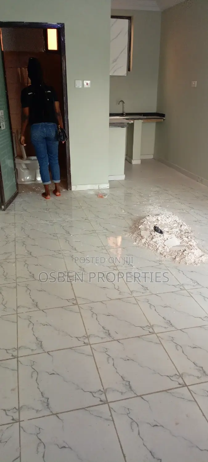1bdrm Apartment in Pleasant Properties, Lashibi for rent