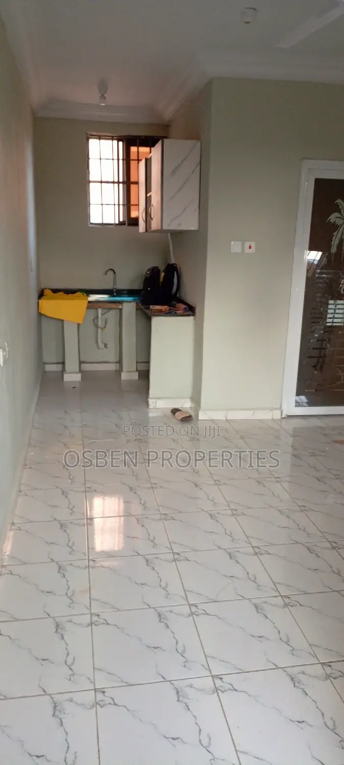 1bdrm Apartment in Pleasant Properties, Lashibi for rent